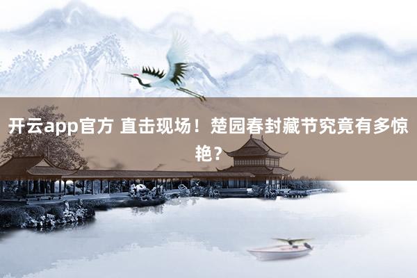 开云app官方 直击现场！楚园春封藏节究竟有多惊艳？