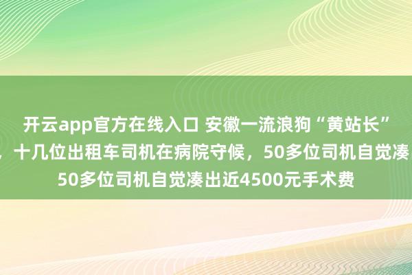 开云app官方在线入口 安徽一流浪狗“黄站长”被车撞了作念手术，十几位出租车司机在病院守候，50多位司机自觉凑出近4500元手术费