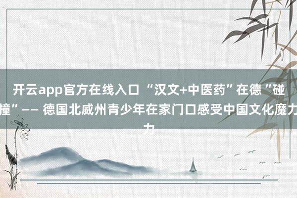 开云app官方在线入口 “汉文+中医药”在德“碰撞”—— 德国北威州青少年在家门口感受中国文化魔力