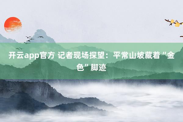 开云app官方 记者现场探望：平常山坡藏着“金色”脚迹