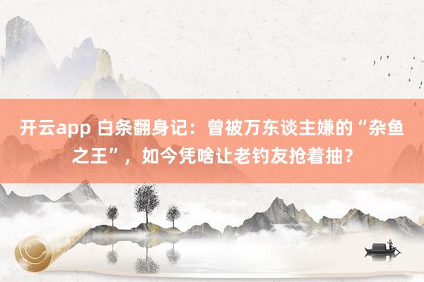 开云app 白条翻身记：曾被万东谈主嫌的“杂鱼之王”，如今凭啥让老钓友抢着抽？