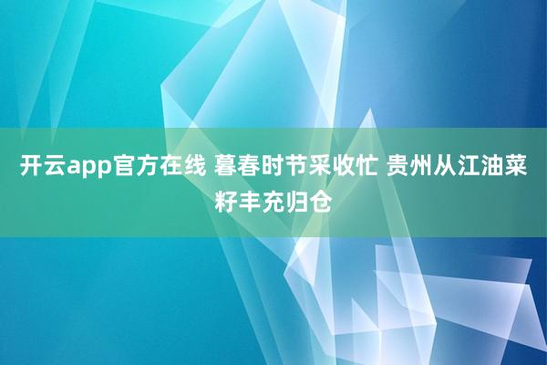 开云app官方在线 暮春时节采收忙 贵州从江油菜籽丰充归仓