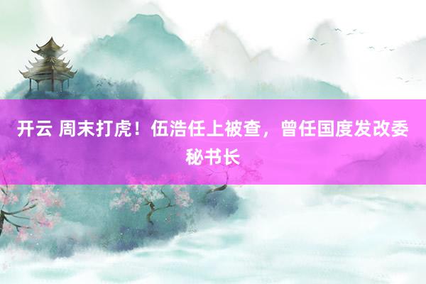 开云 周末打虎！伍浩任上被查，曾任国度发改委秘书长