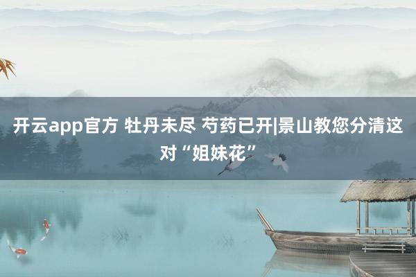 开云app官方 牡丹未尽 芍药已开|景山教您分清这对“姐妹花”
